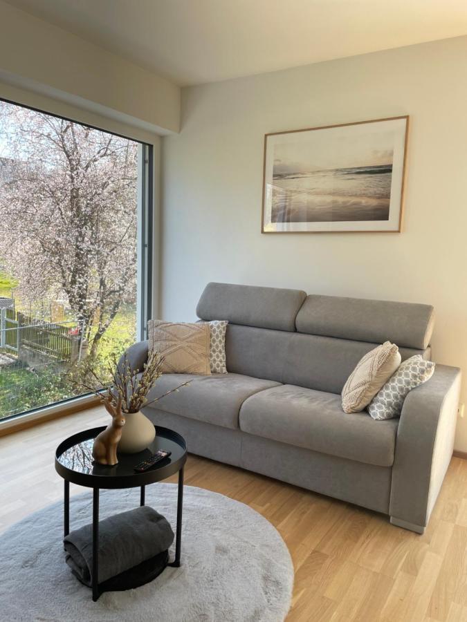 Luxury - Apartment Mit Balkon In Seenaehe Гмунден Экстерьер фото